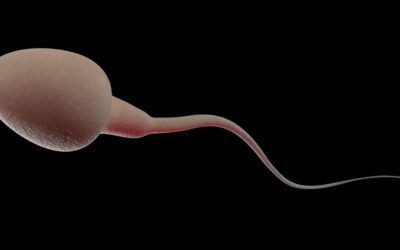 O que é Azoospermia?